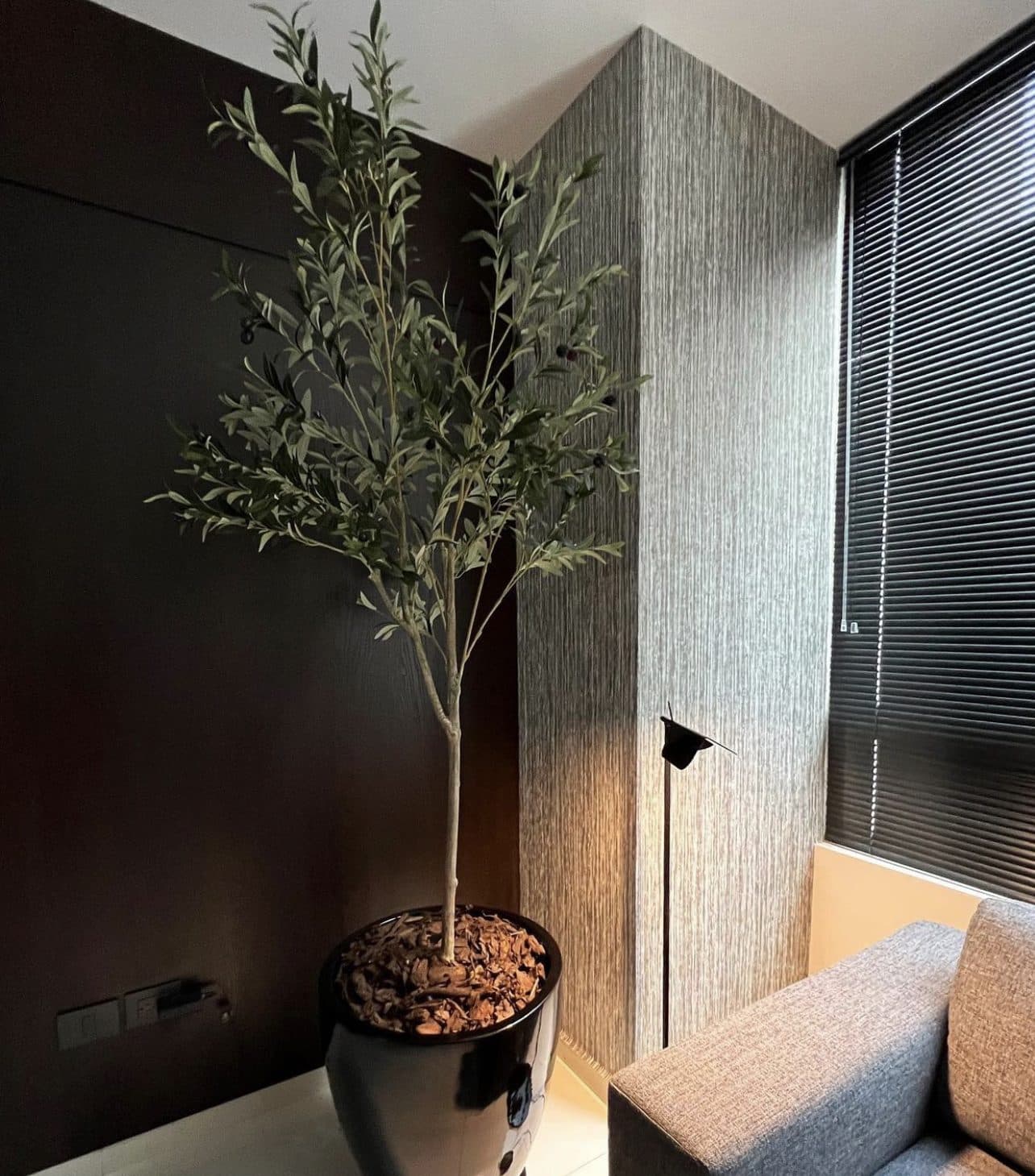San Jerónimo — proyecto de interiorismo por Corinto, fotografía 5